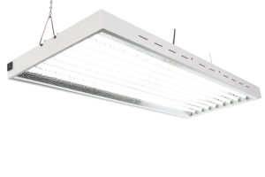 DuroLux Grow Lights for Indoor Plant